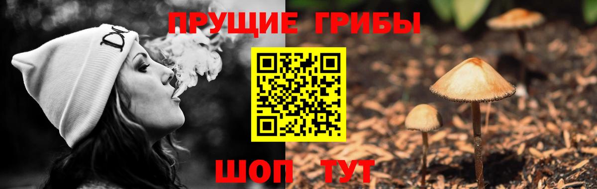 Галлюциногенные грибы Magic Shrooms Калининград